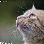 Mable Schuster Profile Picture